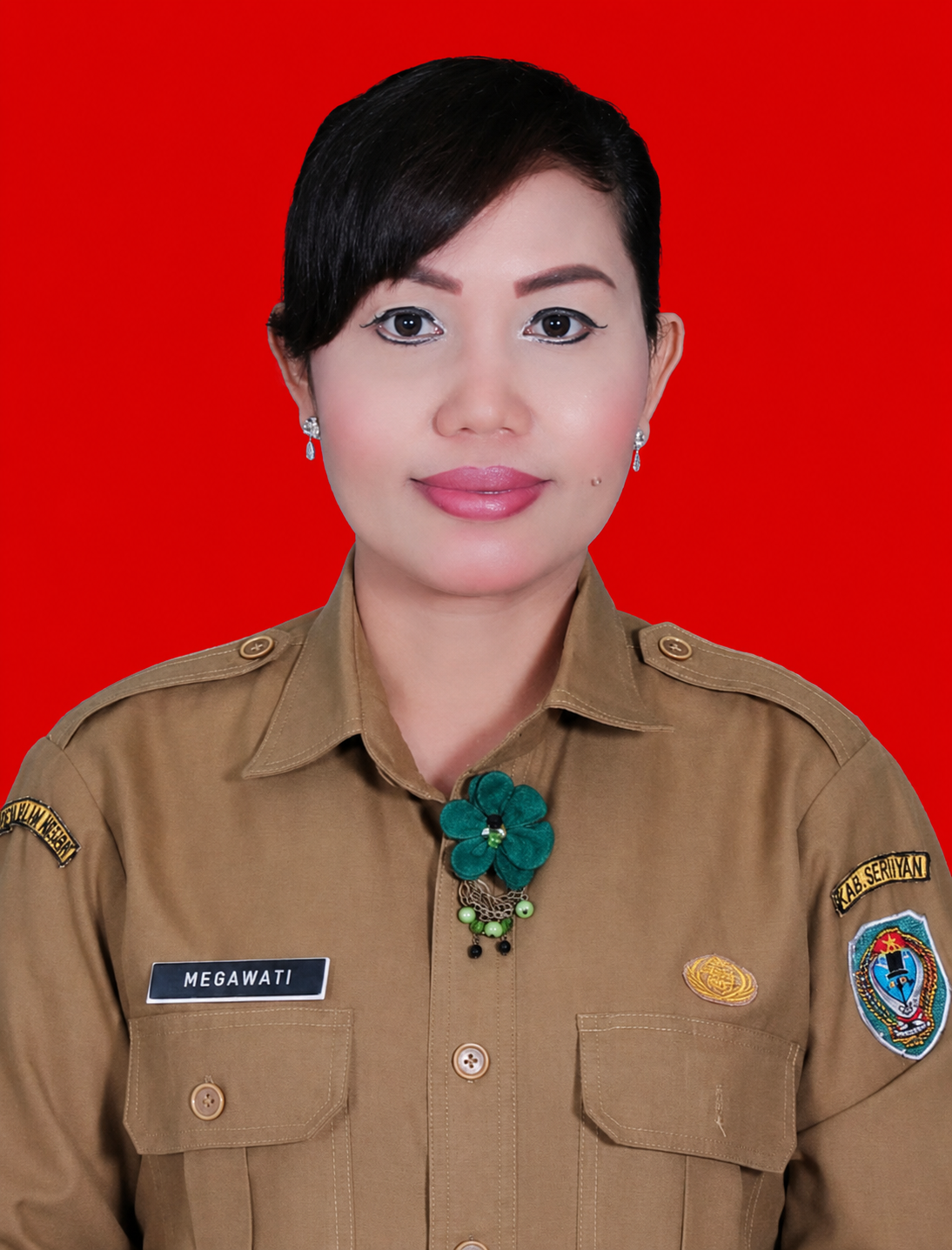 MEGAWATI, S.E.,M.A.P.